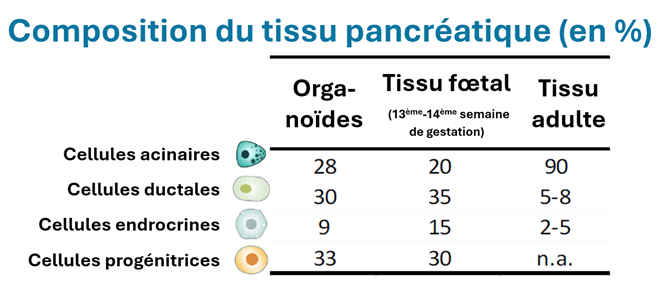 composition du tissu pancréatique (en %)