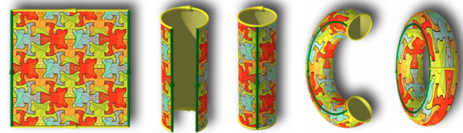 Fig. 1 - Tore en deux dimensions