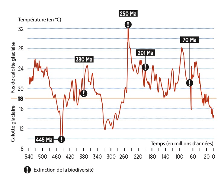 Evolution de la température sur 540 millions d'années