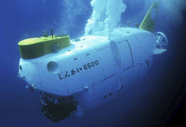 Submersible